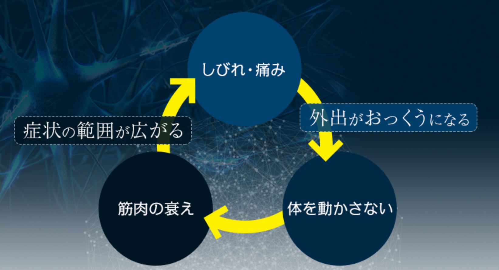 �����_�o�ɂ̕��̃X�p�C����