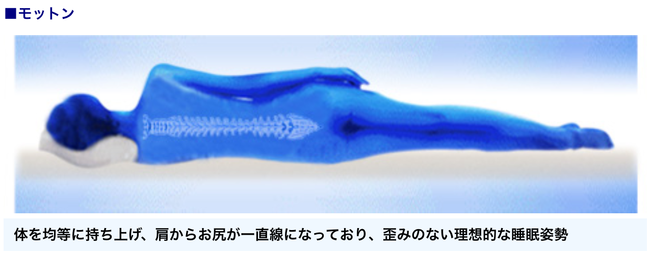 ���b�g���͗��z�I�ȐQ�p�������肾��