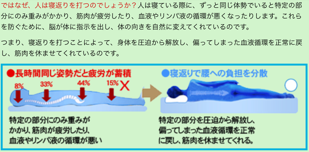 ���b�g���Ō������������d�g��