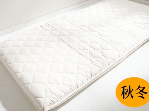 �_�̂₷�炬�v���~�A���i�~�p�j