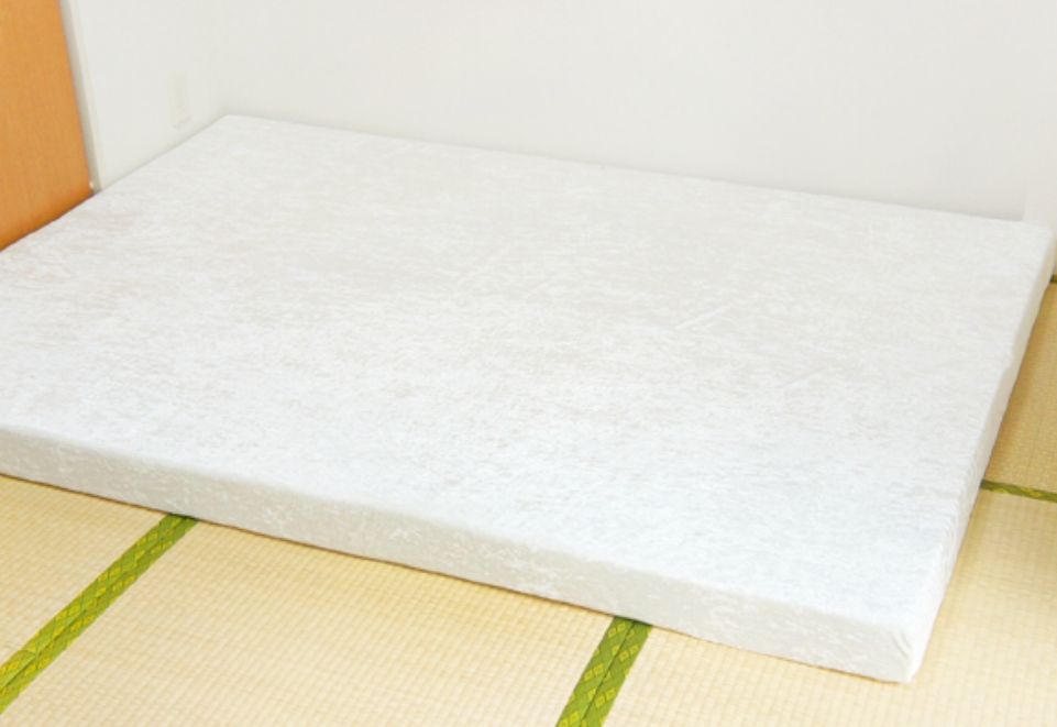 ��ɕ~���ꂽ���b�g��