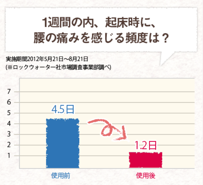 モットンを使った人の腰痛に関するデータ