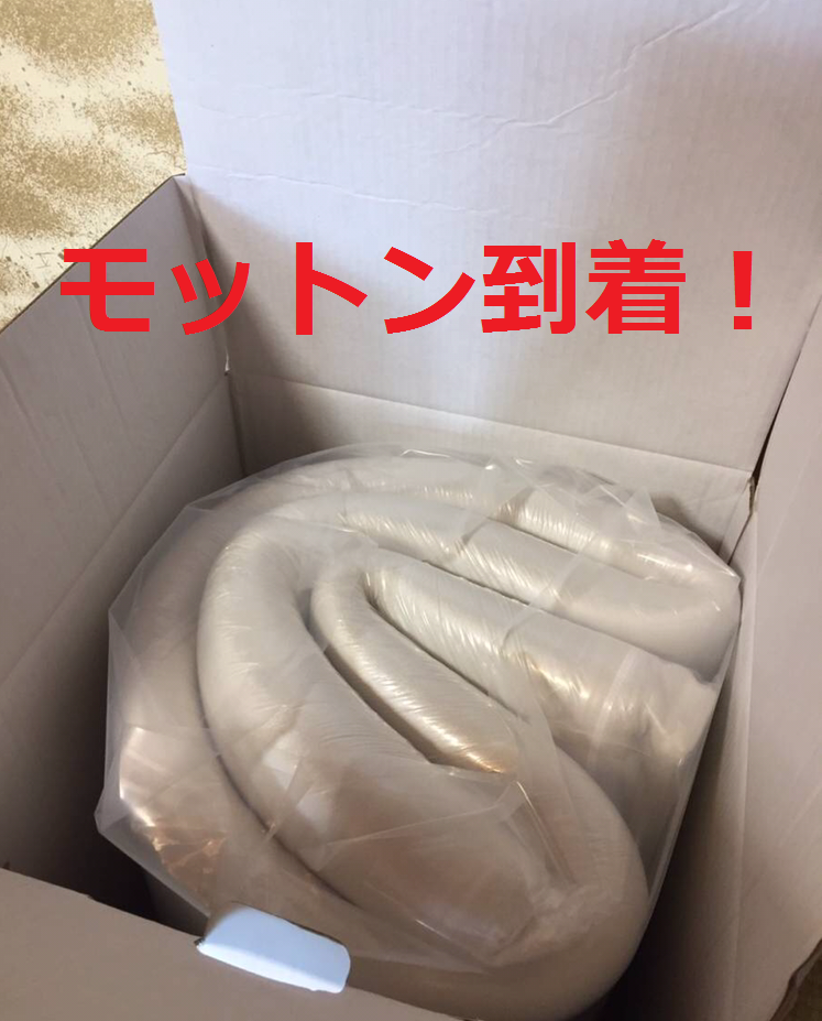 モットンが家に到着