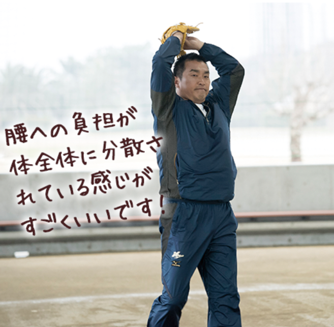 �R�{���̉摜