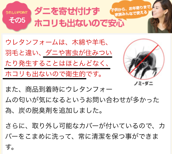 モットンにダニや埃は発生しない