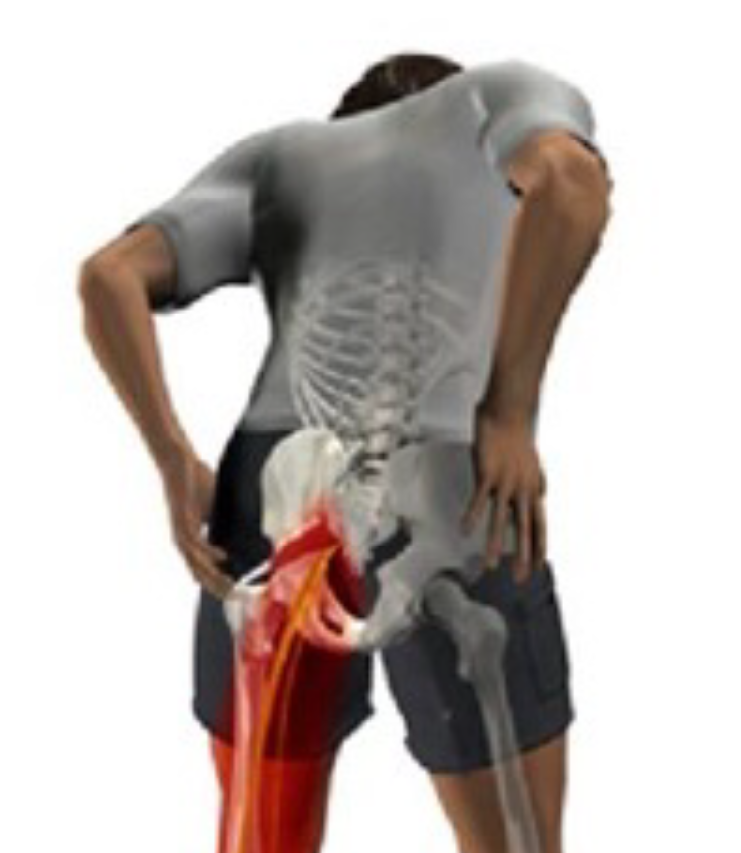 ���ɂ̌���