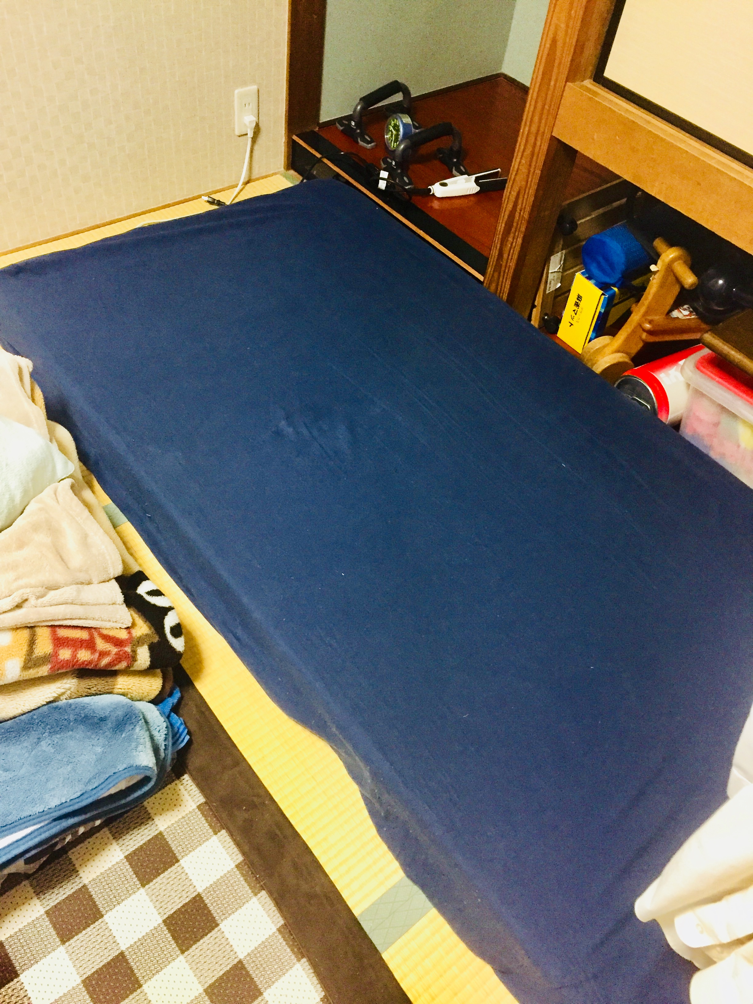  �V�[�c�����������b�g��