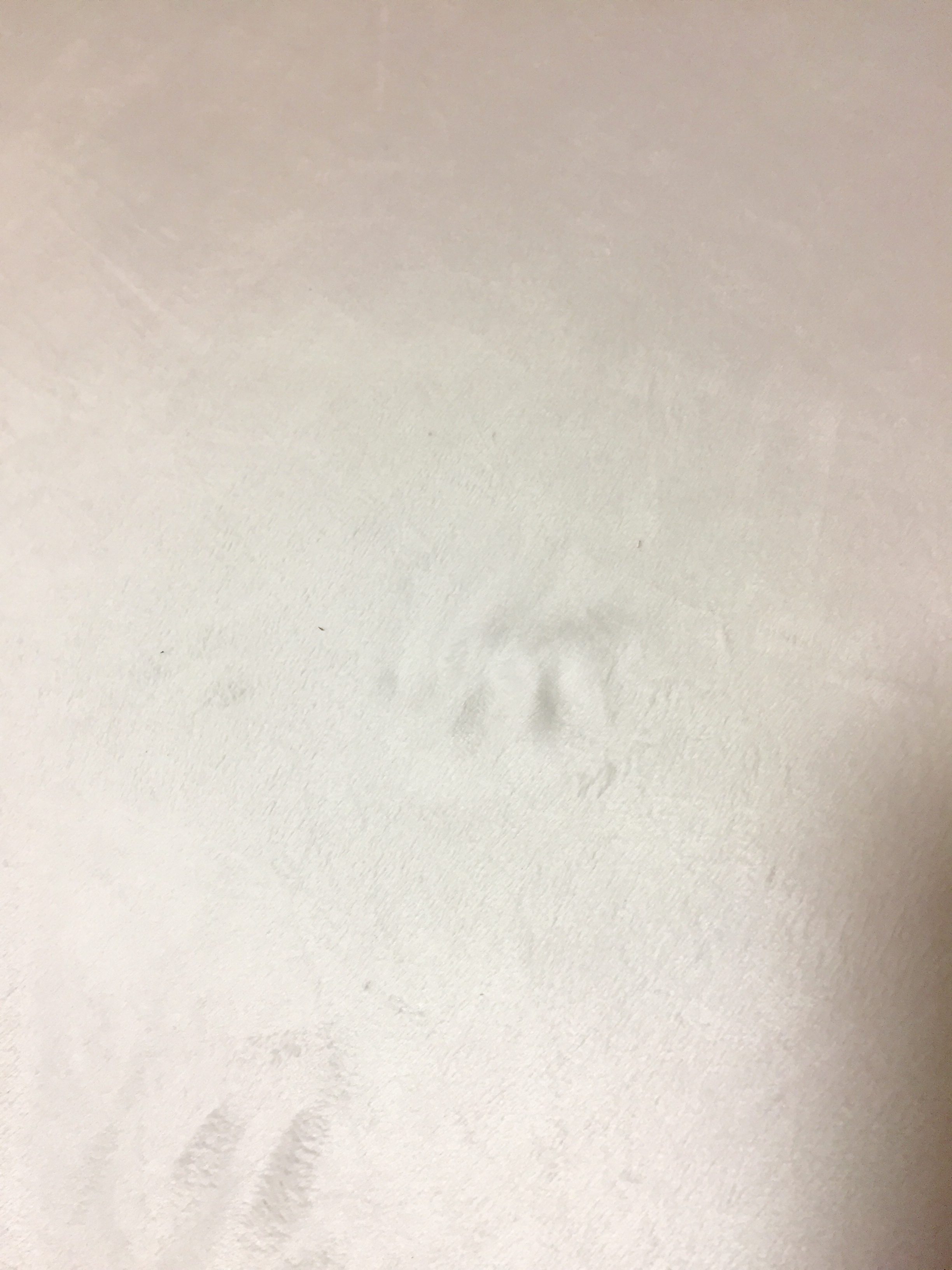 ��������A�����Ɍ��ɖ߂郂�b�g��