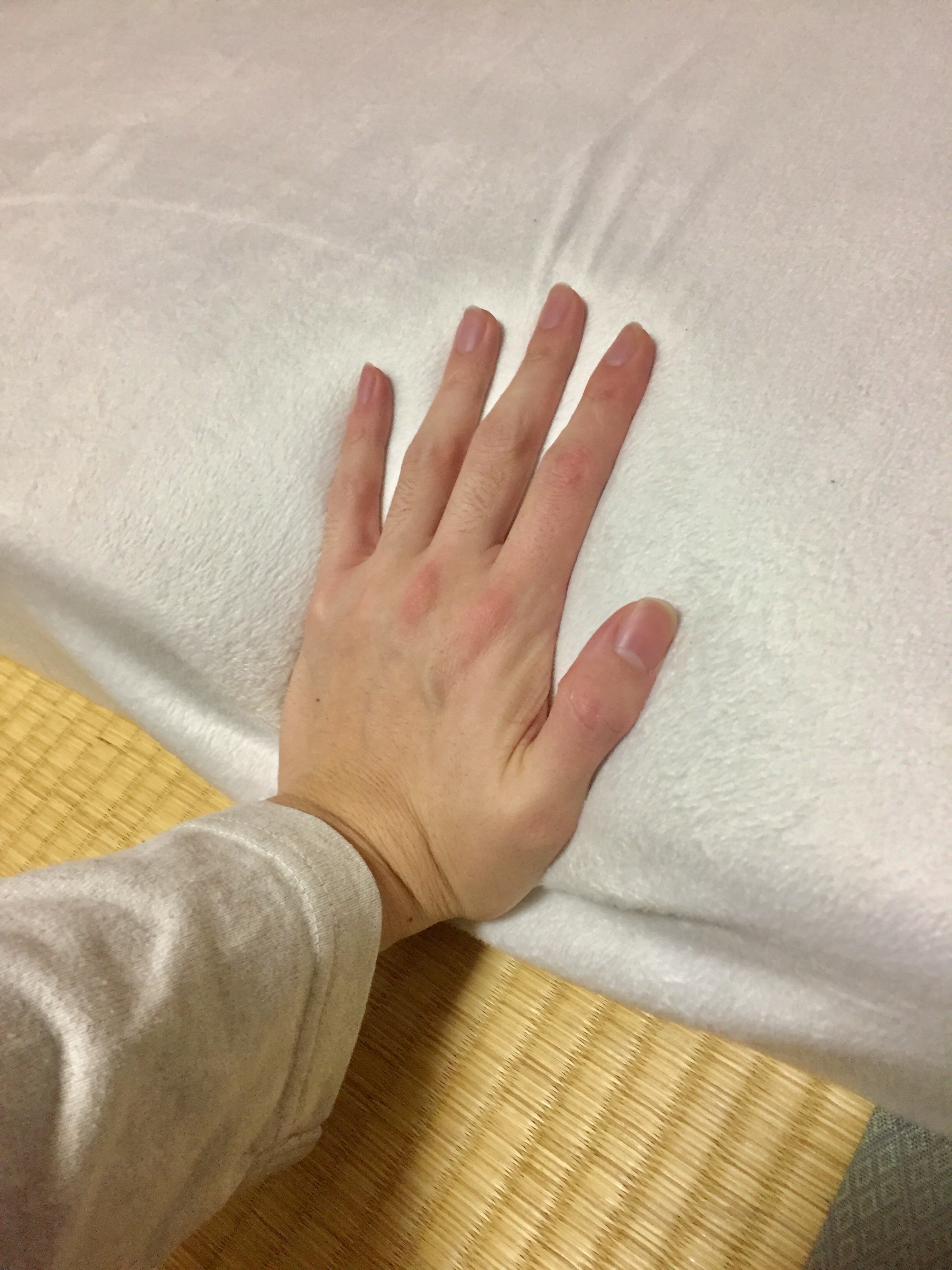 �ϋv���ɖ��̂Ȃ����b�g��