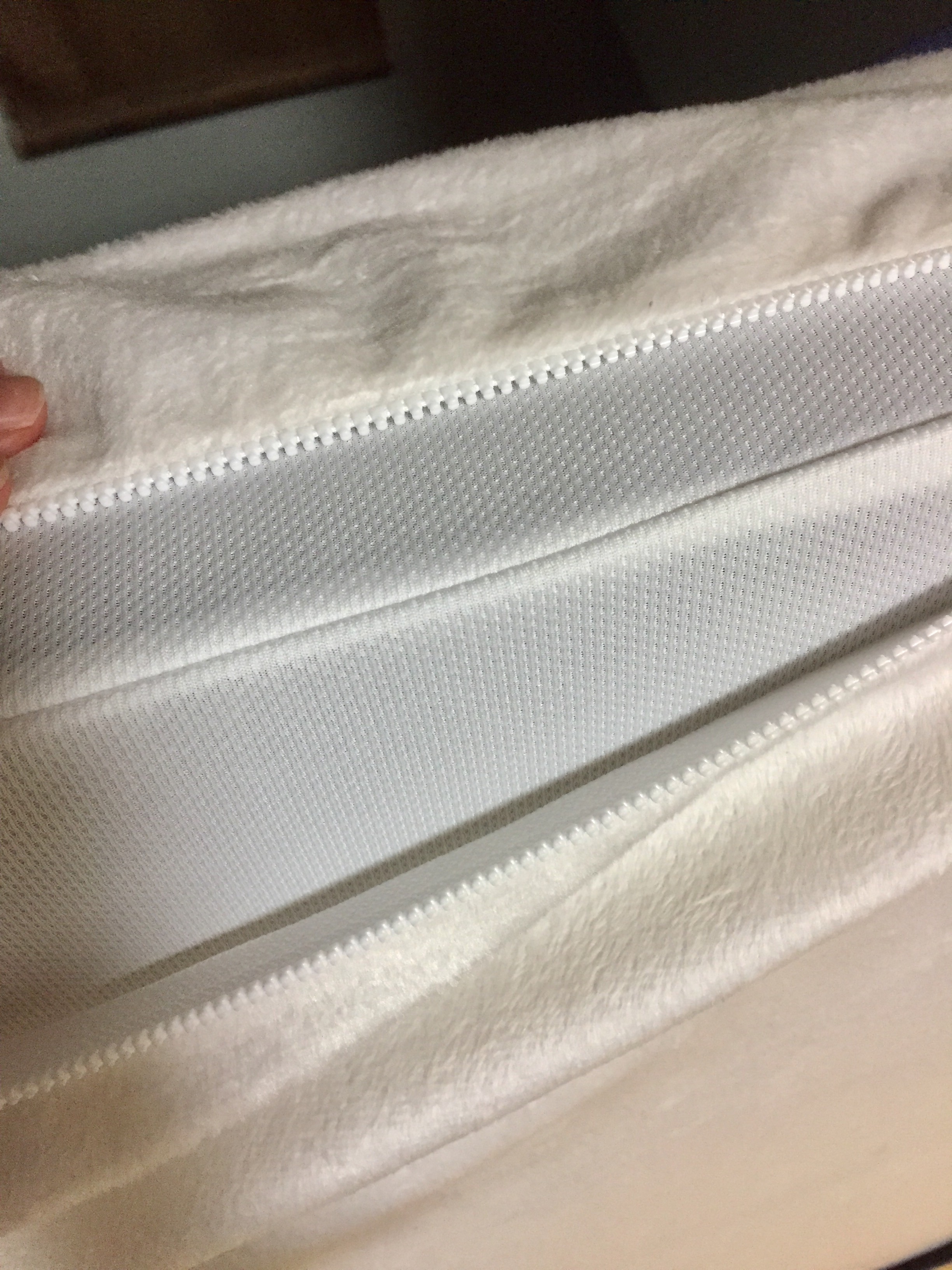 ���b�g���̕\�ʐ��n