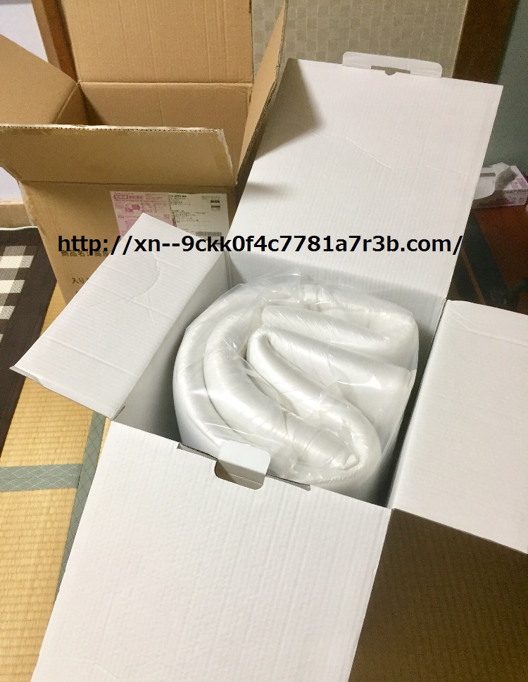  ���b�g���������Ă����I