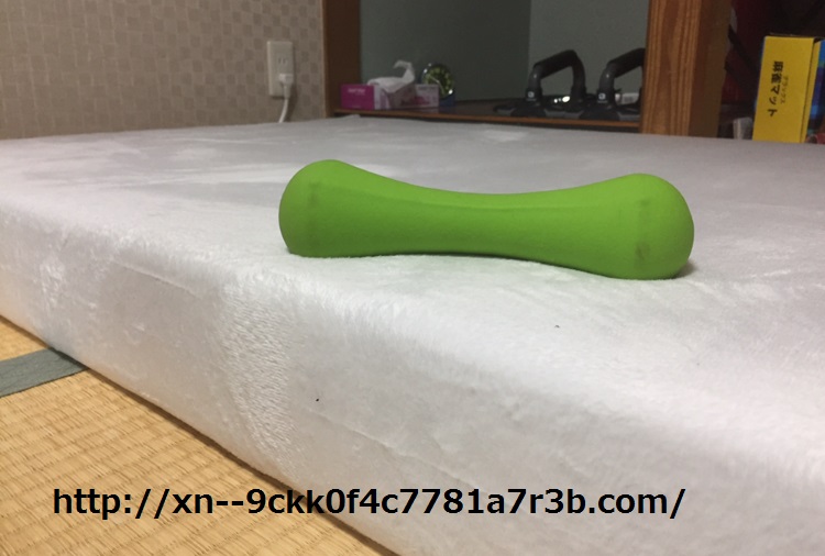 �_���x�����u���Ă��郂�b�g��