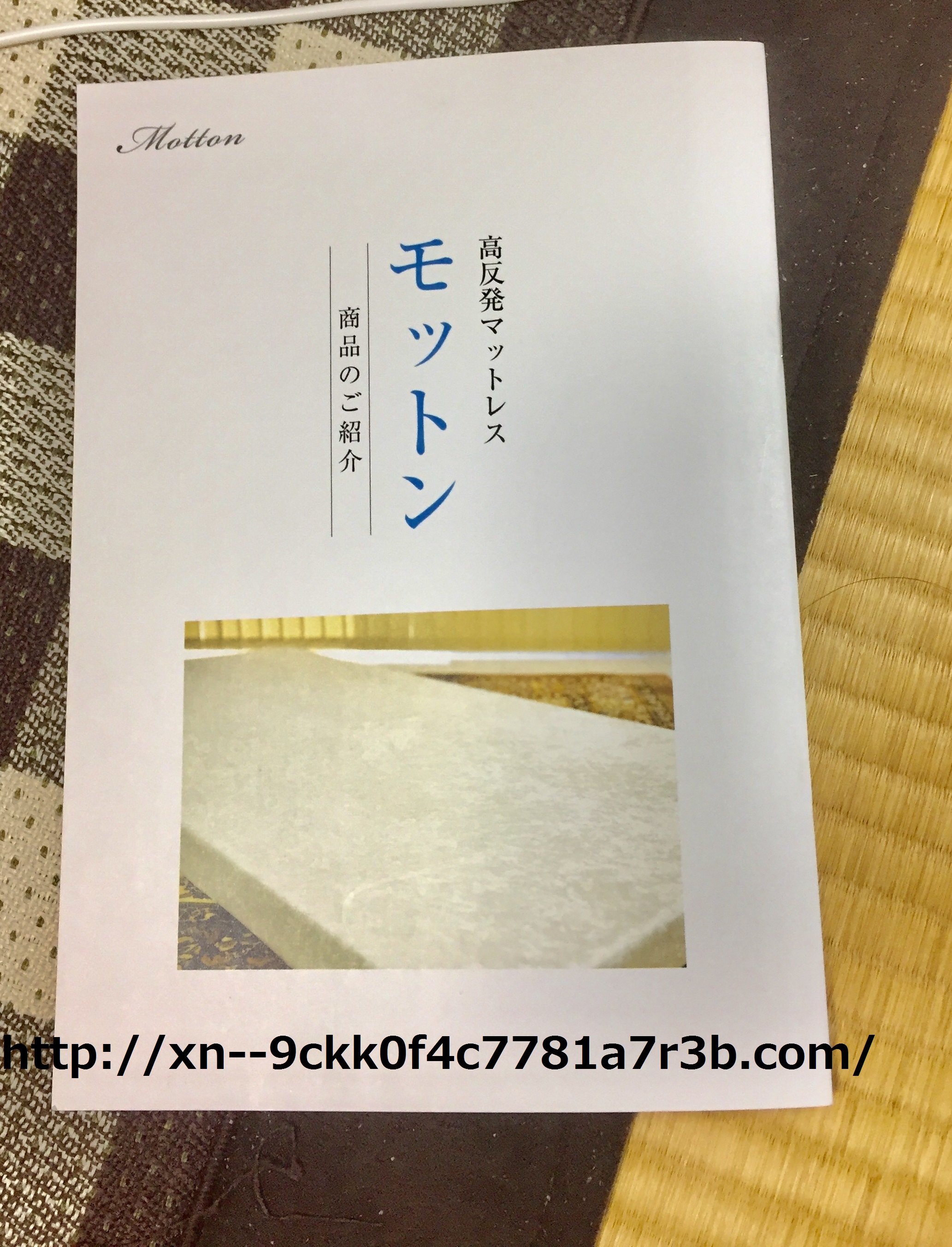 ���b�g�������